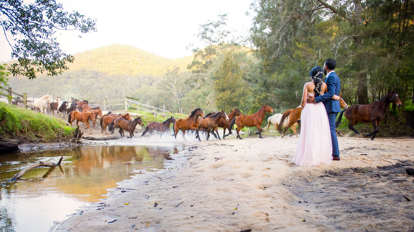 Sydney Wedding Photo